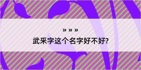 武釆字这个名字好不好?