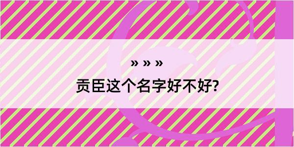 贡臣这个名字好不好?