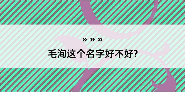 毛洵这个名字好不好?