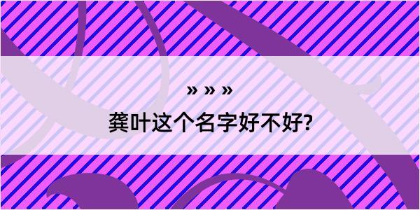 龚叶这个名字好不好?