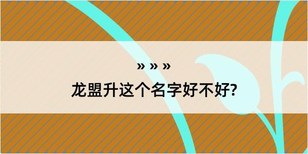 龙盟升这个名字好不好?