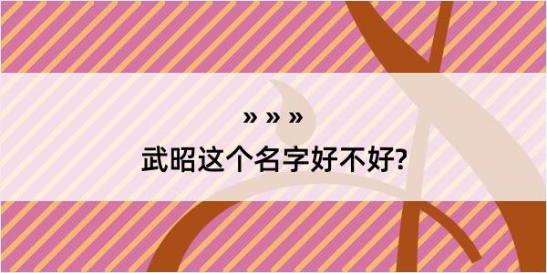 武昭这个名字好不好?