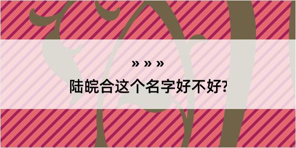 陆皖合这个名字好不好?