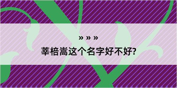 莘棓嵩这个名字好不好?