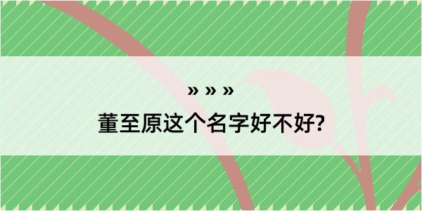 董至原这个名字好不好?