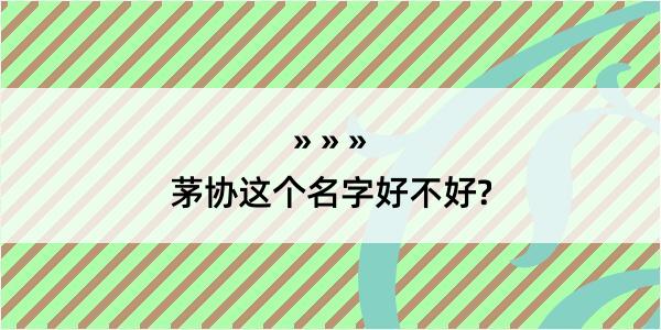 茅协这个名字好不好?