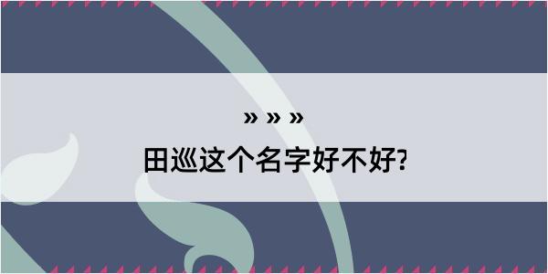 田巡这个名字好不好?