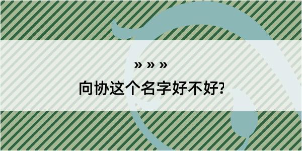 向协这个名字好不好?