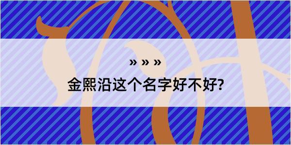 金熙沿这个名字好不好?