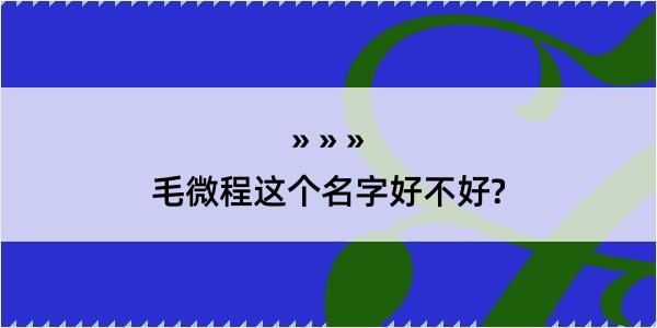 毛微程这个名字好不好?