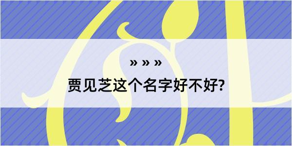 贾见芝这个名字好不好?