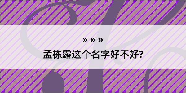 孟栋露这个名字好不好?