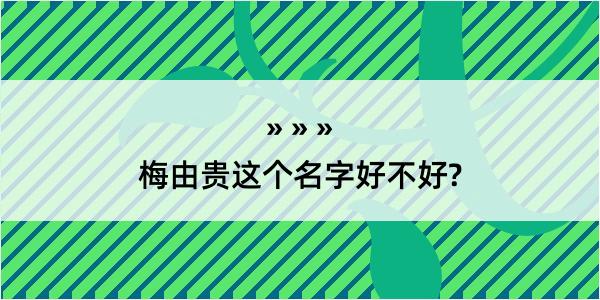 梅由贵这个名字好不好?