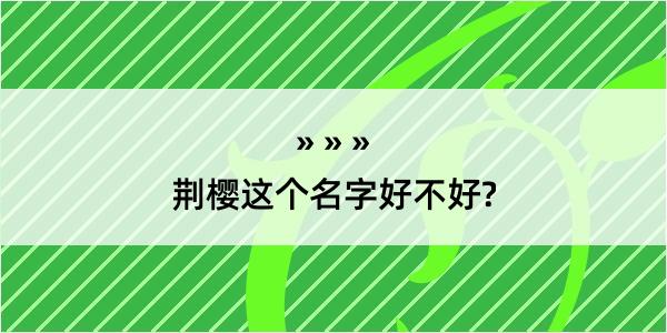 荆樱这个名字好不好?