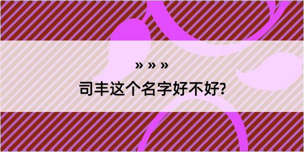 司丰这个名字好不好?