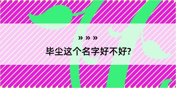 毕尘这个名字好不好?