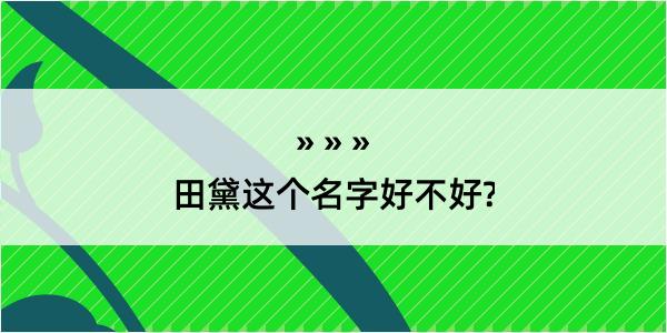 田黛这个名字好不好?