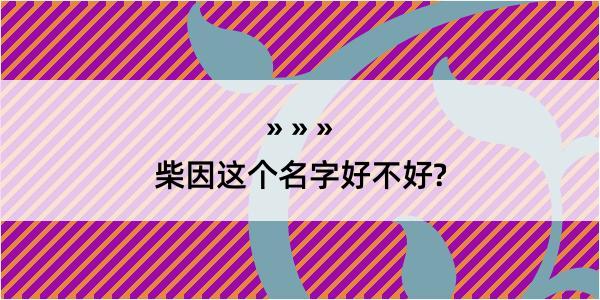 柴因这个名字好不好?