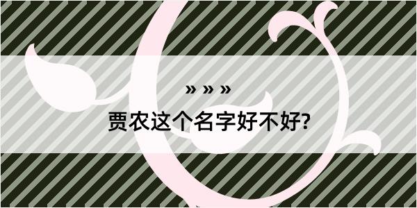 贾农这个名字好不好?