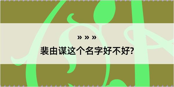 裴由谋这个名字好不好?