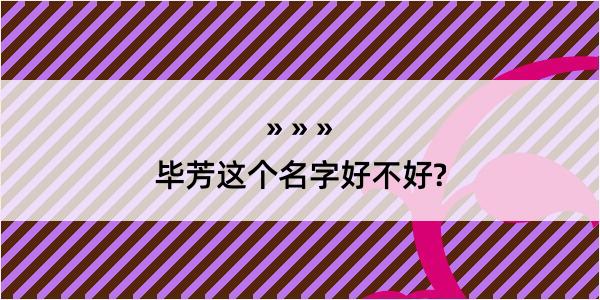 毕芳这个名字好不好?