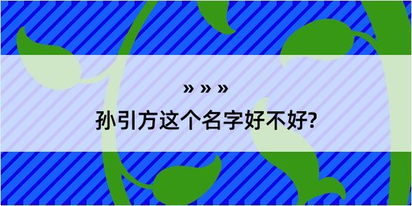 孙引方这个名字好不好?