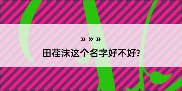 田荏沫这个名字好不好?