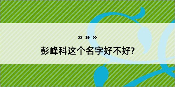 彭峰科这个名字好不好?