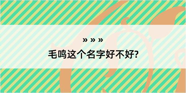 毛鸣这个名字好不好?