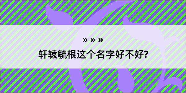 轩辕毓根这个名字好不好?