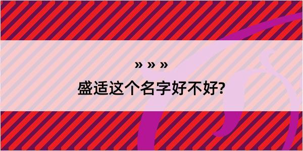 盛适这个名字好不好?