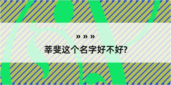 莘斐这个名字好不好?