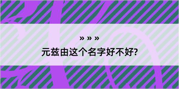 元兹由这个名字好不好?