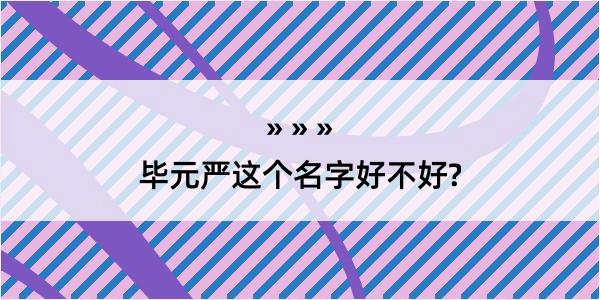 毕元严这个名字好不好?