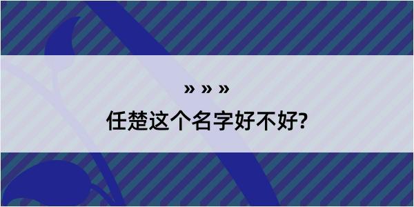 任楚这个名字好不好?