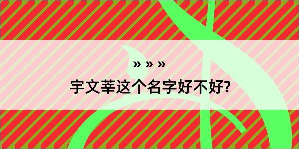 宇文莘这个名字好不好?