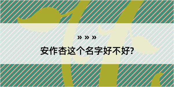 安作杏这个名字好不好?