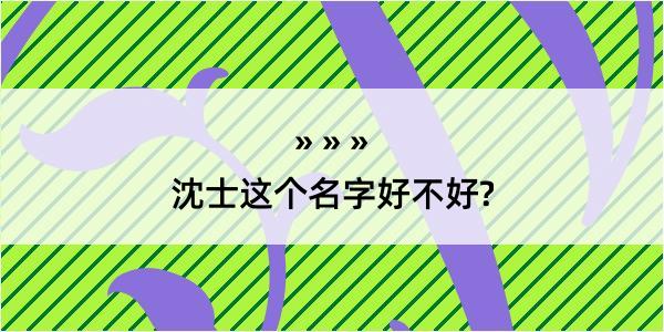 沈士这个名字好不好?