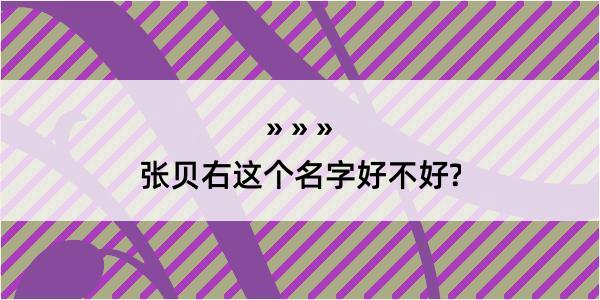 张贝右这个名字好不好?