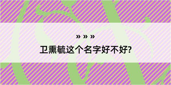 卫熏毓这个名字好不好?