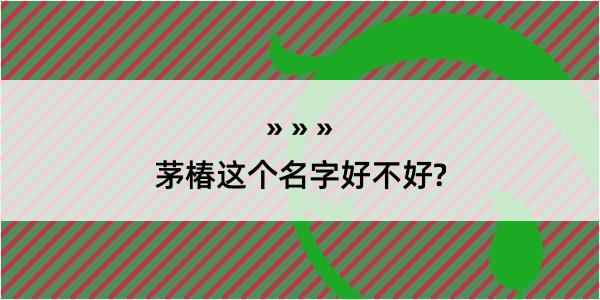 茅椿这个名字好不好?