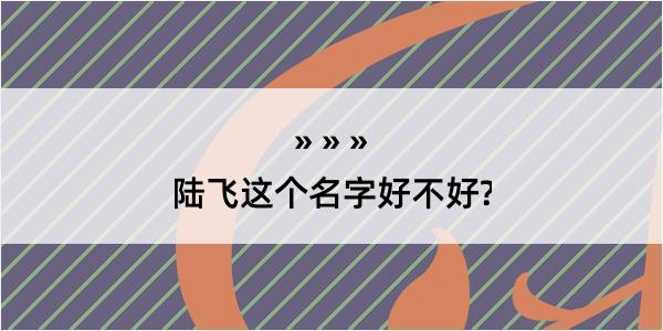 陆飞这个名字好不好?