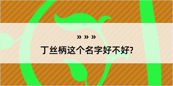 丁丝柄这个名字好不好?