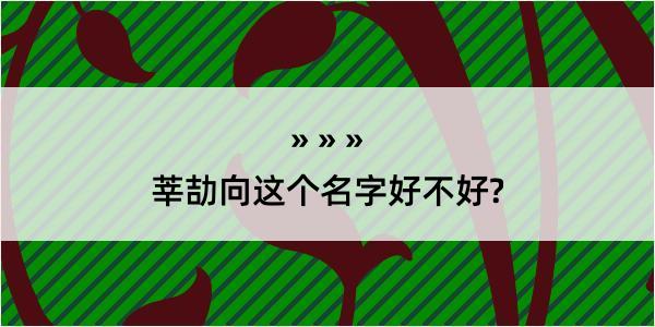 莘劼向这个名字好不好?