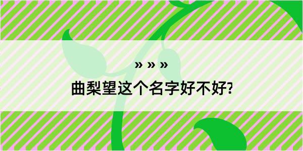 曲梨望这个名字好不好?