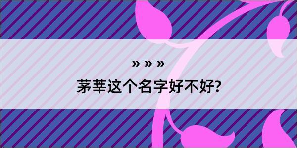 茅莘这个名字好不好?