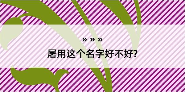 屠用这个名字好不好?