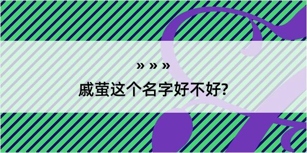 戚萤这个名字好不好?