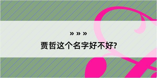 贾哲这个名字好不好?