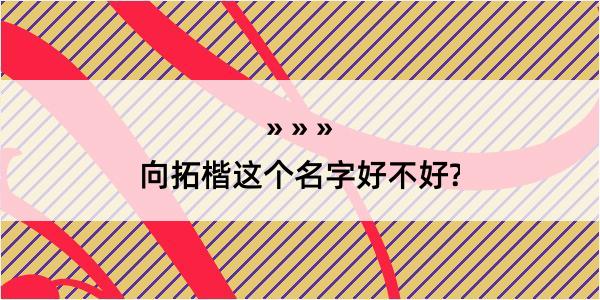 向拓楷这个名字好不好?